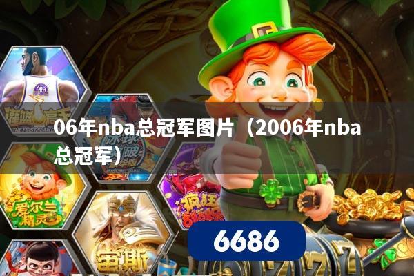 06年nba总冠军图片(2006年nba总冠军)