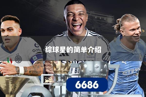 综球星的简单介绍